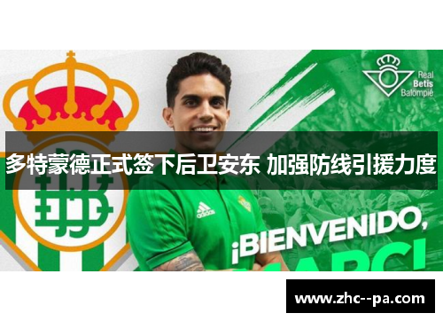 多特蒙德正式签下后卫安东 加强防线引援力度