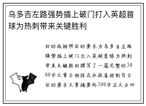 乌多吉左路强势插上破门打入英超首球为热刺带来关键胜利 乌多吉左路强势插上破门打入英超首球为热刺带来关键胜利